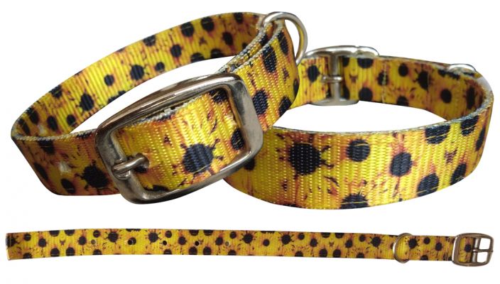 Dog collars and Toys