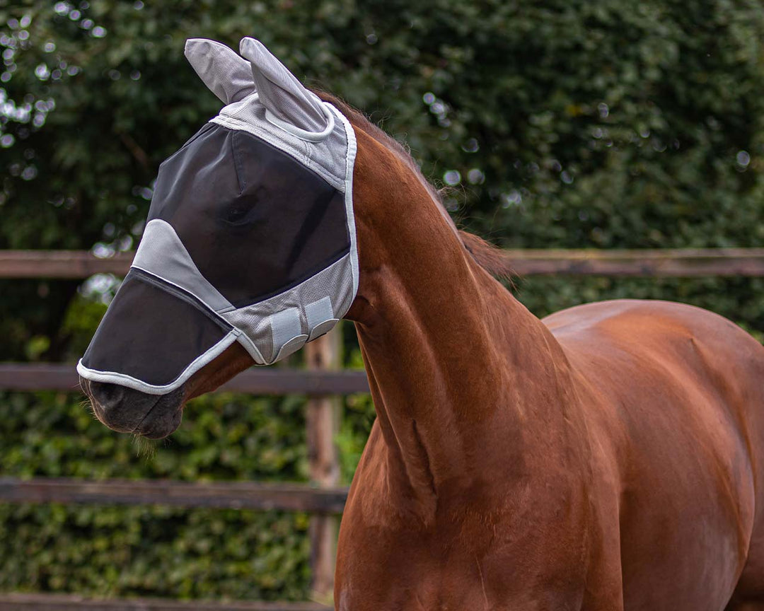 QHP Fly Mask Solaire